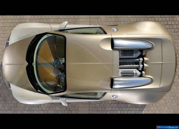 2009 Bugatti Veyron - фотография 80 из 89