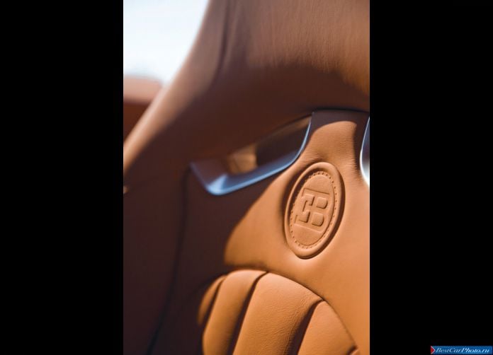 2009 Bugatti Veyron - фотография 87 из 89
