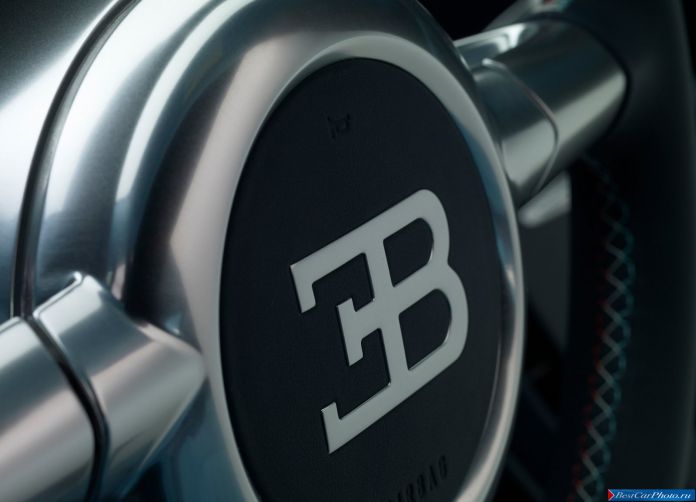 2013 Bugatti Veyron Jean Pierre Wimille - фотография 18 из 35