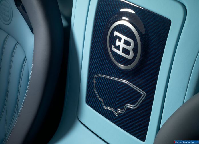 2013 Bugatti Veyron Jean Pierre Wimille - фотография 22 из 35