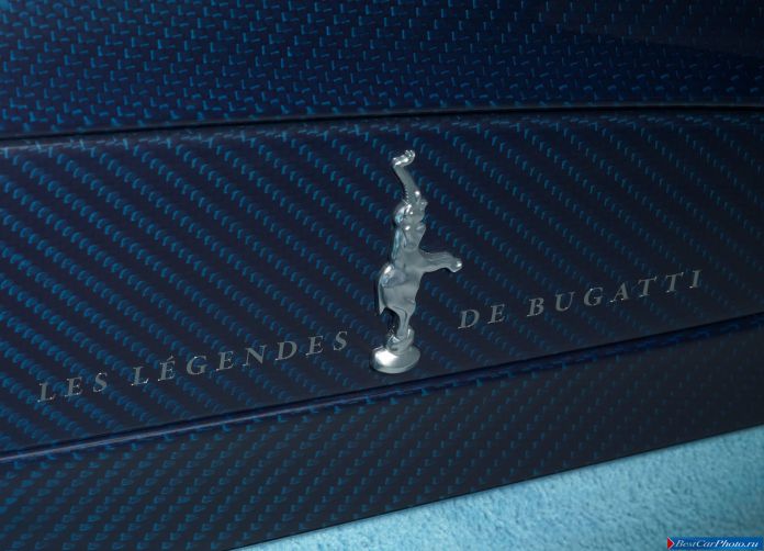 2013 Bugatti Veyron Jean Pierre Wimille - фотография 30 из 35