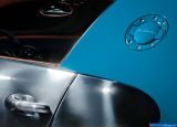 bugatti_2013-veyron_meo_costantini_1600x1200_017.jpg