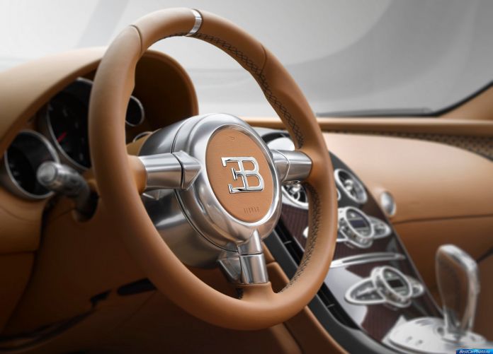 2014 Bugatti Veyron Rembrandt Bugatti - фотография 6 из 15