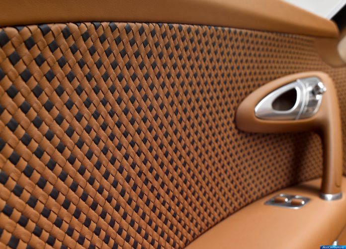 2014 Bugatti Veyron Rembrandt Bugatti - фотография 7 из 15