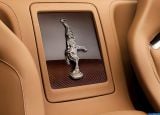 bugatti_2014_veyron_rembrandt_bugatti_008.jpg