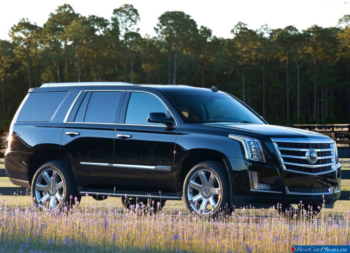 2015 Cadillac Escalade - фотография 14 из 92