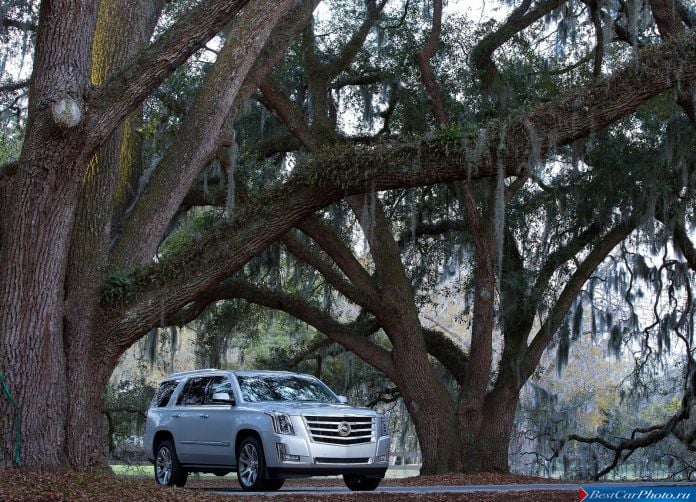 2015 Cadillac Escalade - фотография 18 из 92
