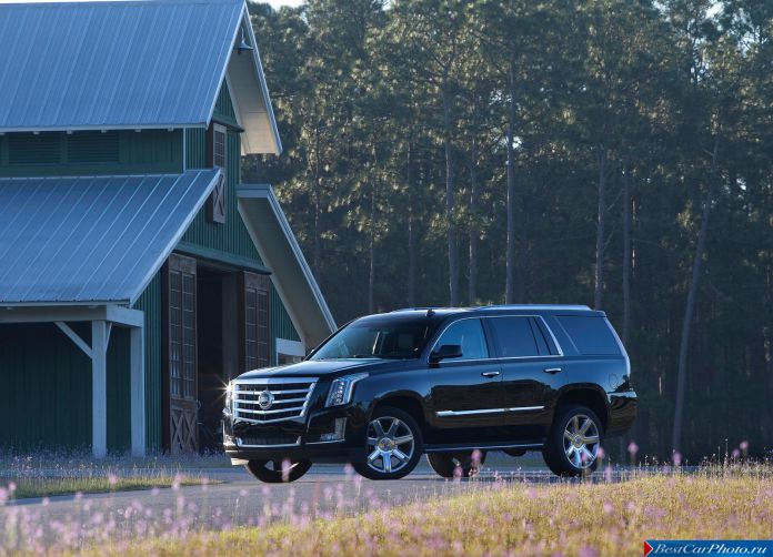 2015 Cadillac Escalade - фотография 20 из 92
