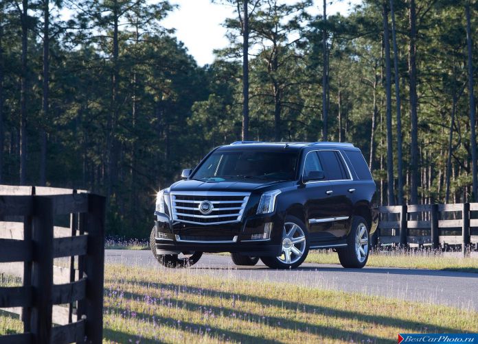 2015 Cadillac Escalade - фотография 24 из 92