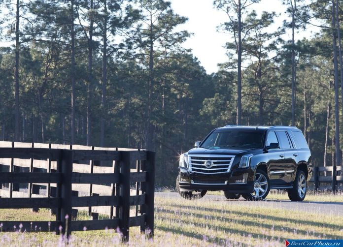 2015 Cadillac Escalade - фотография 25 из 92