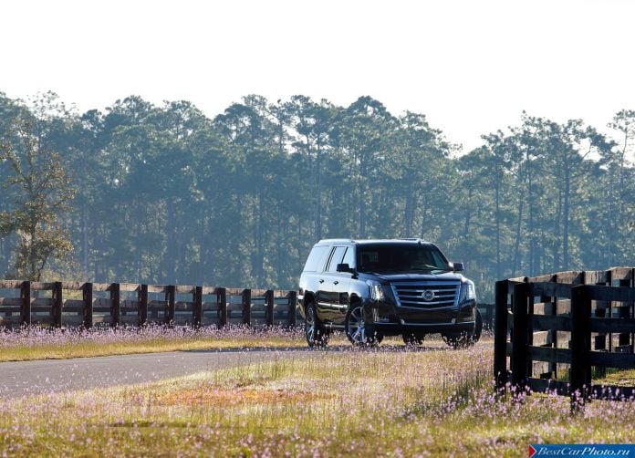2015 Cadillac Escalade - фотография 26 из 92