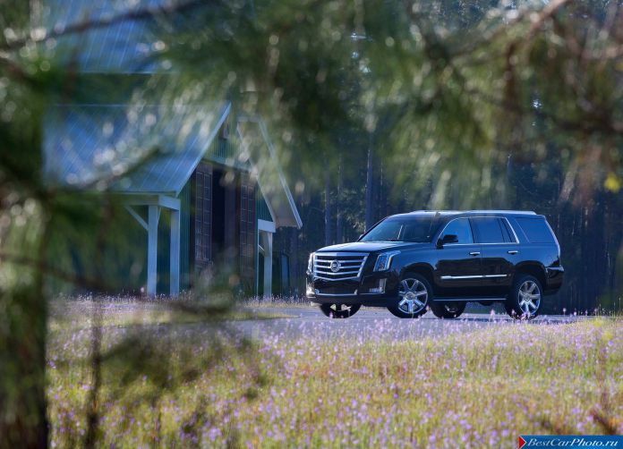 2015 Cadillac Escalade - фотография 27 из 92