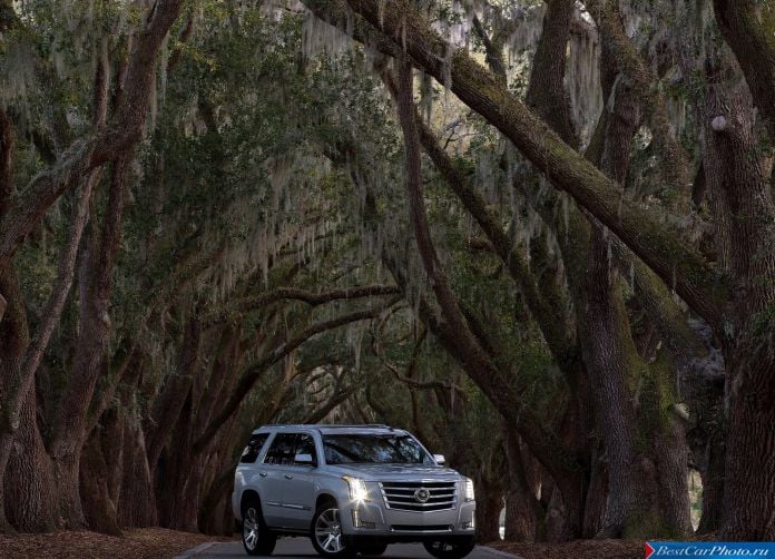 2015 Cadillac Escalade - фотография 29 из 92