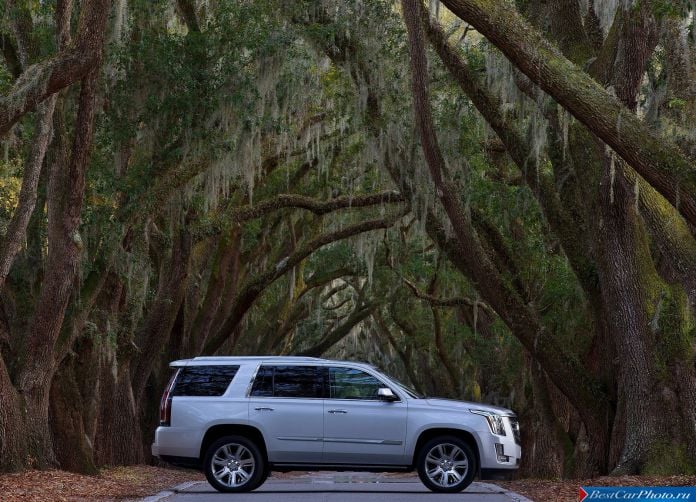2015 Cadillac Escalade - фотография 43 из 92