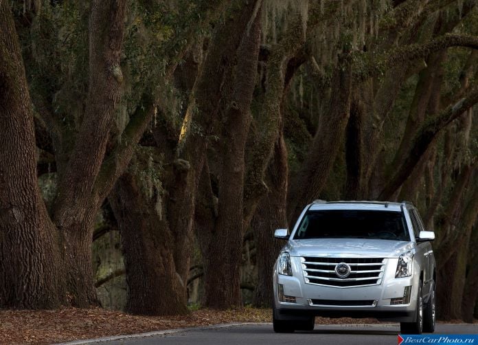 2015 Cadillac Escalade - фотография 55 из 92