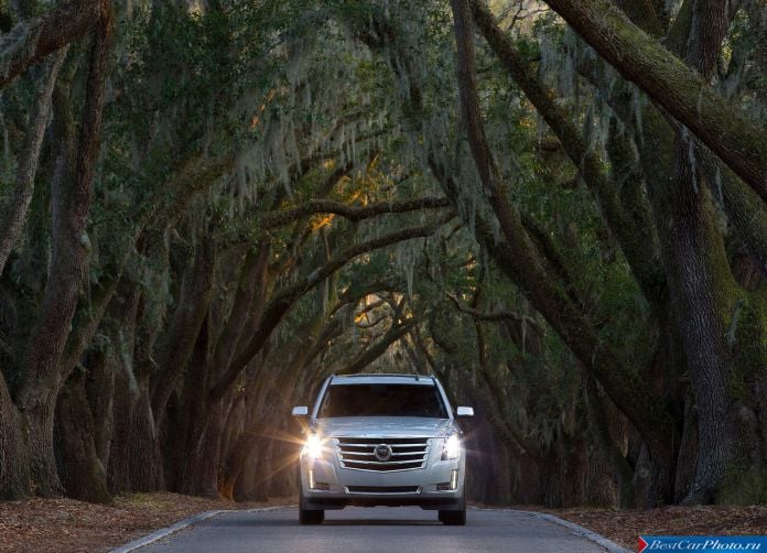 2015 Cadillac Escalade - фотография 56 из 92