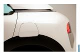 2013_citroG3C3Cn_cactus_009.jpg