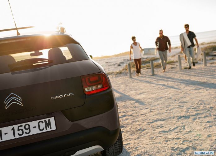 2017 Citroen C4 Cactus Rip Curl - фотография 19 из 26 2017 Citroen C4 Cactus Rip Curl - фотография 19 из 26