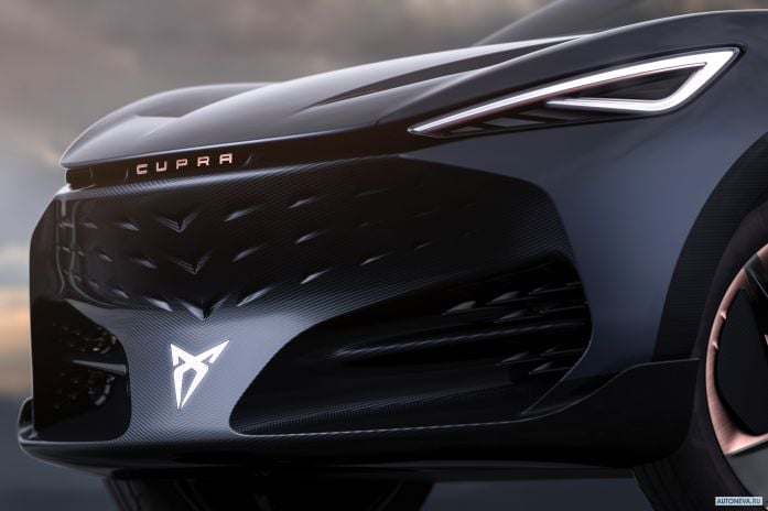 2019 Cupra Tavascan Concept - фотография 15 из 15