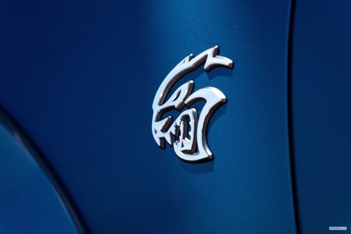 2020 Dodge Charger SRT Hellcat Widebody - фотография 37 из 40