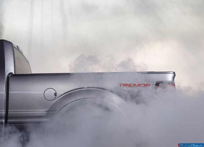 2014 Ford F-150 Tremor - фотография 31 из 48