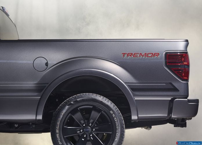 2014 Ford F-150 Tremor - фотография 32 из 48
