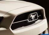 ford_2015_mustang_50_year_limited_edition_026.jpg