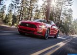 ford_2015_mustang_ecoboost_009.jpg
