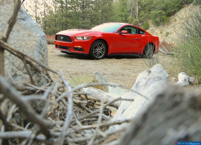 2015 Ford Mustang EcoBoost - фотография 19 из 93
