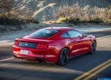 ford_2015_mustang_ecoboost_037.jpg