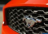 ford_2015_mustang_ecoboost_082.jpg