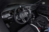 ford_2016_mustang_shelby_gt350r_008.jpg