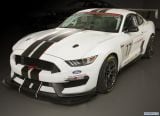 ford_2017_mustang_shelby_fp350s_001.jpg