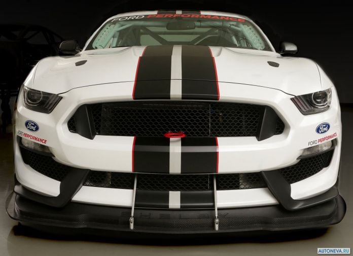 2017 Ford Mustang Shelby FP350S - фотография 3 из 3