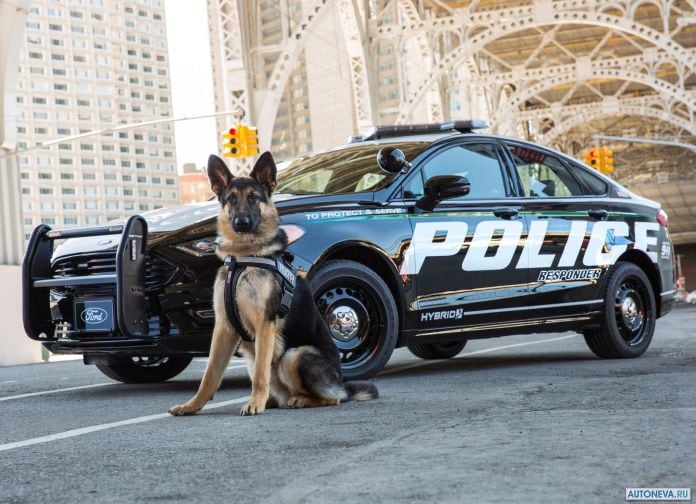 2018 Ford police Responder Hybrid Sedan - фотография 5 из 9