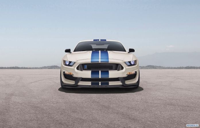 2019 Ford Mustang Shelby GT350 Heritage Edition - фотография 1 из 5