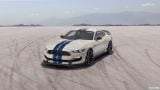 ford_2019_mustang_shelby_gt350_heritage_edition_002.jpg