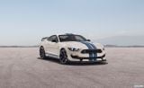 ford_2019_mustang_shelby_gt350_heritage_edition_003.jpg