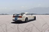 ford_2019_mustang_shelby_gt350_heritage_edition_005.jpg