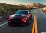ford_2020_mustang_shelby_gt500_002.jpg