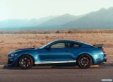 ford_2020_mustang_shelby_gt500_012.jpg