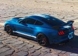 ford_2020_mustang_shelby_gt500_018.jpg