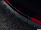 ford_2020_mustang_shelby_gt500_078.jpg