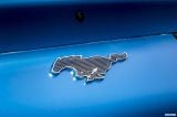 ford_2021_mustang_mach-e_4_first_edition_031.jpg
