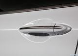 hyundai_2018_genesis_g80_3_3t_sport_041.jpg