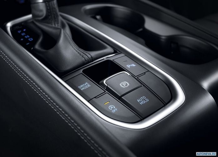 2019 Hyundai Santa Fe - фотография 113 из 173