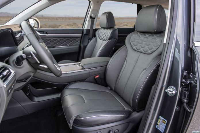 2020 Hyundai Palisade - фотография 24 из 40
