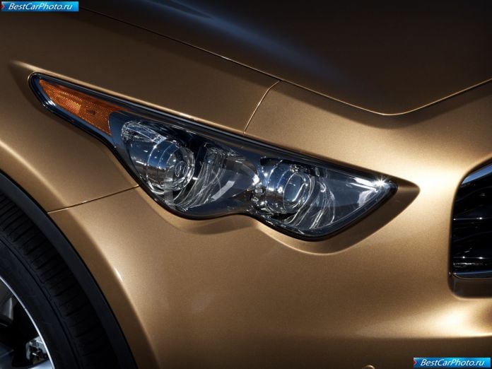 2009 Infiniti Fx35 - фотография 11 из 19