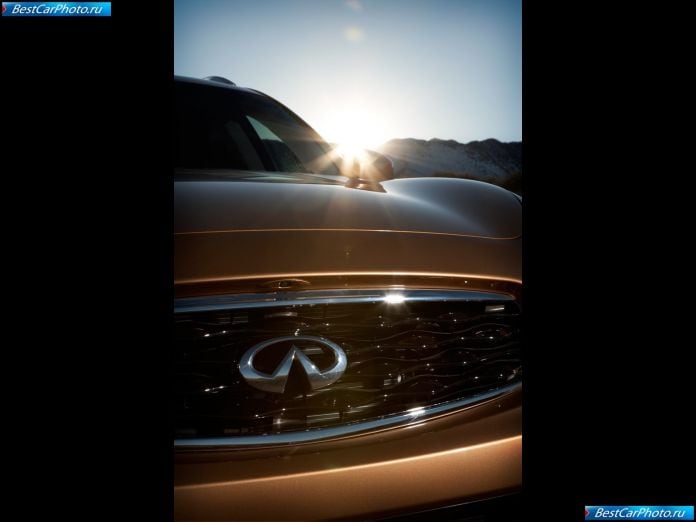 2009 Infiniti Fx35 - фотография 17 из 19