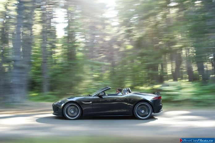 2013 Jaguar F-type - фотография 9 из 40